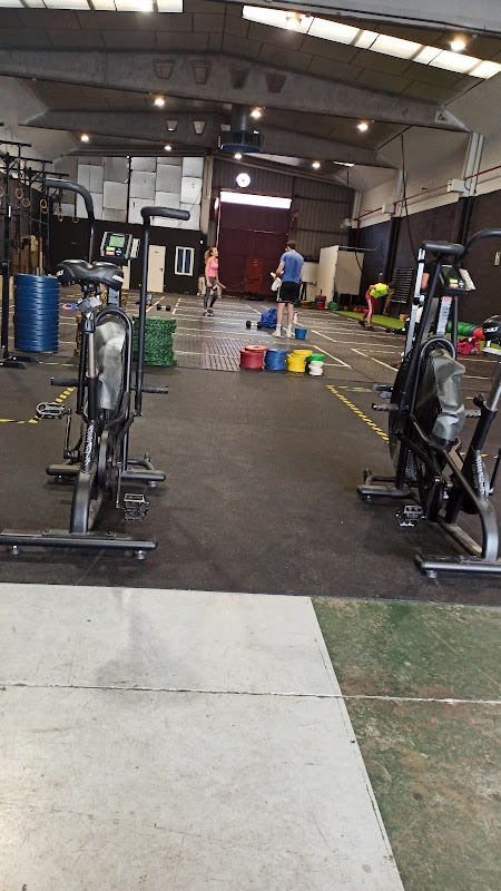 Equipamiento Haltera Program